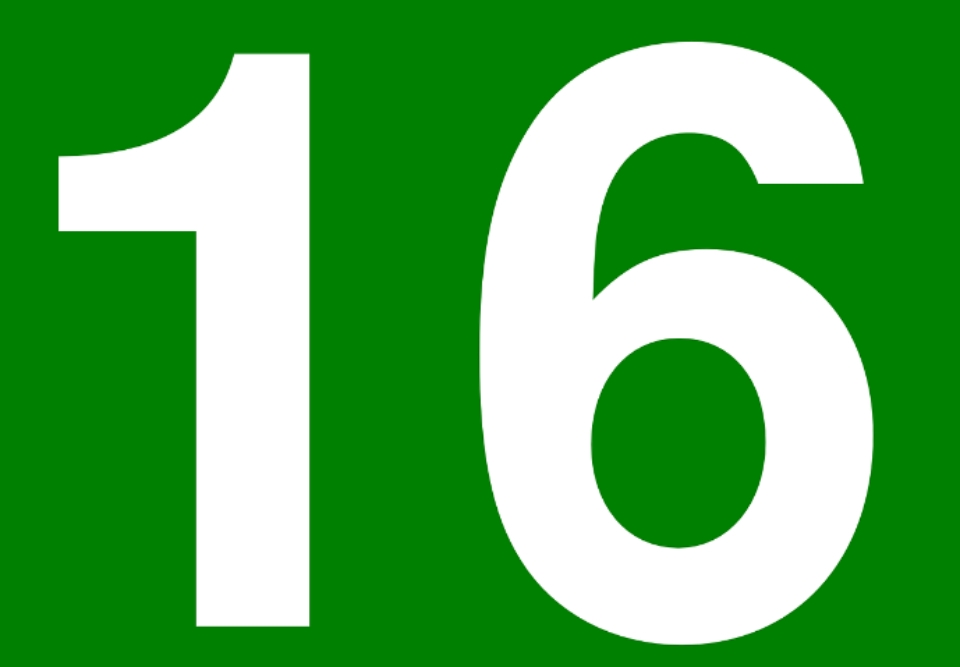 mơ thấy số 16 đánh con gì