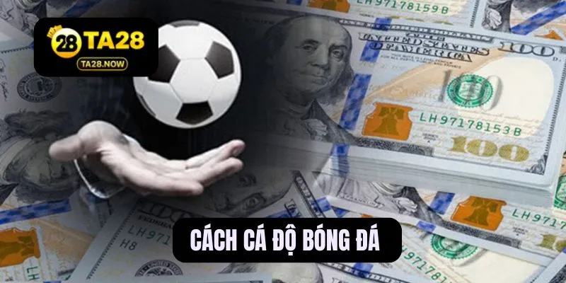 cách cá độ bóng đá