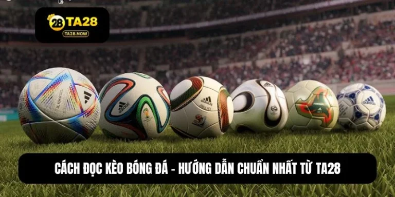 Cách đọc kèo bóng đá