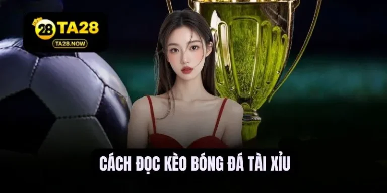 cách đọc kèo bóng đá tài xỉu