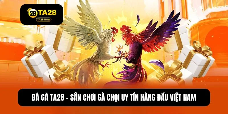đá gà TA28